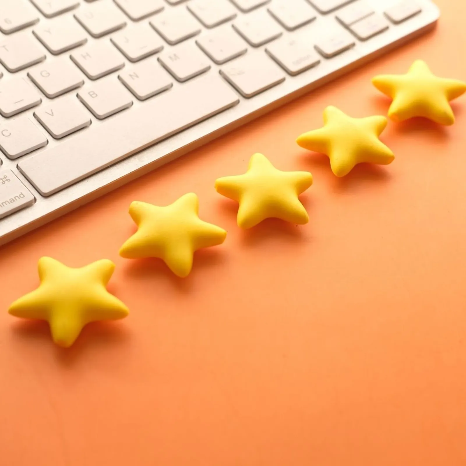 5 star review.jpeg